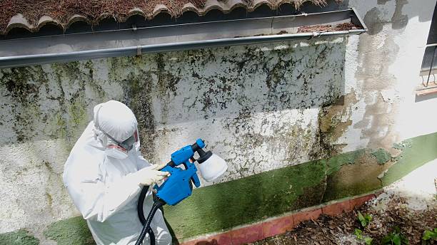 Mold Remediation service in North Reading, North Reading, MA